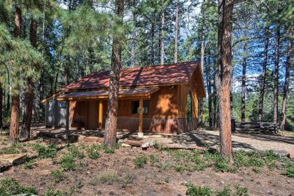 Semi-Private Mancos Cabin on 80 Acres with Mtn View! - image 2