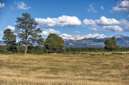 Semi-Private Mancos Cabin on 80 Acres with Mtn View! - image 3