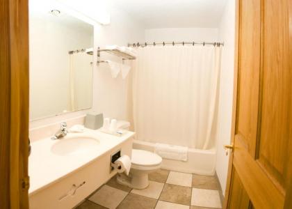 North Country Inn & Suites - image 12