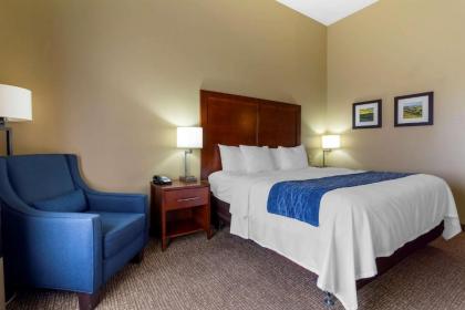 Comfort Inn & Suites Mandan - Bismarck - image 13