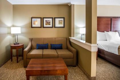 Comfort Inn & Suites Mandan - Bismarck - image 4