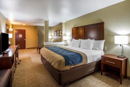 Comfort Inn & Suites Mandan - Bismarck - image 6