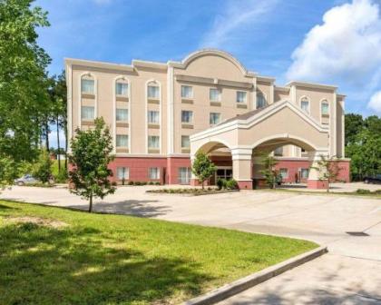 Comfort Suites Mandeville - image 11