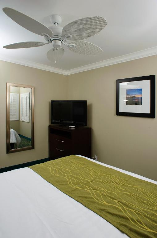 Hi View Inn & Suites - image 4