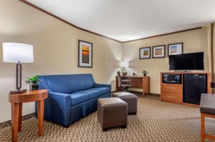 Comfort Suites Manhattan - image 14