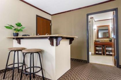 Comfort Suites Manhattan - image 9