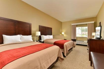 Comfort Inn and Suites Manheim - image 10