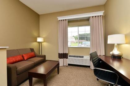 Comfort Inn and Suites Manheim - image 12