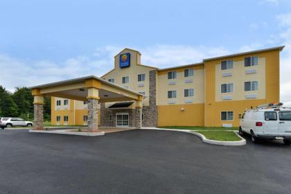 Comfort Inn and Suites Manheim - image 14