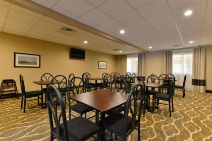 Comfort Inn and Suites Manheim - image 3