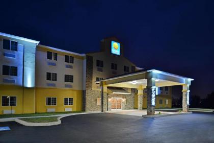 Comfort Inn and Suites Manheim - image 5