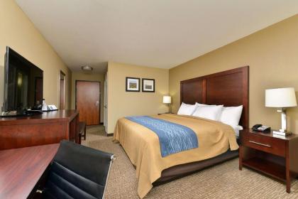 Comfort Inn and Suites Manheim - image 6