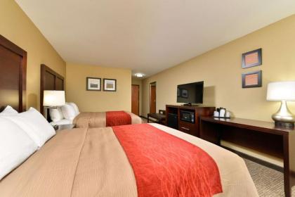 Comfort Inn and Suites Manheim - image 8