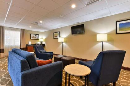 Comfort Inn and Suites Manheim - image 9