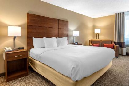 Comfort Inn - image 15