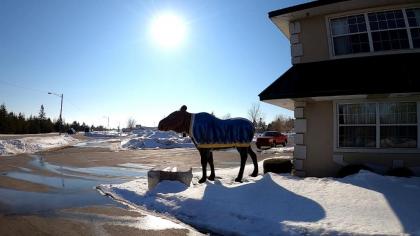 Quality Inn & Suites Manistique - image 11