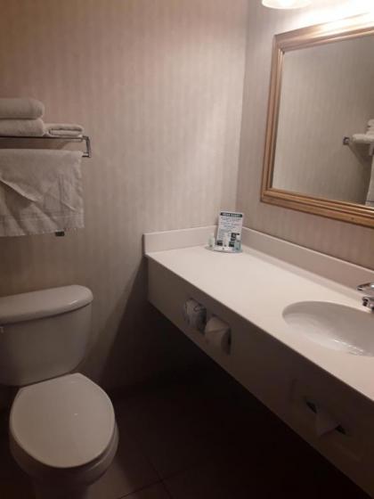 Quality Inn & Suites Manistique - image 15