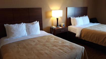 Quality Inn & Suites Manistique - image 5