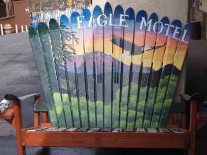 Eagle Motel - image 11