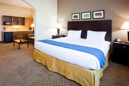 Holiday Inn Express Hotel & Suites Mankato East an IHG Hotel - image 13