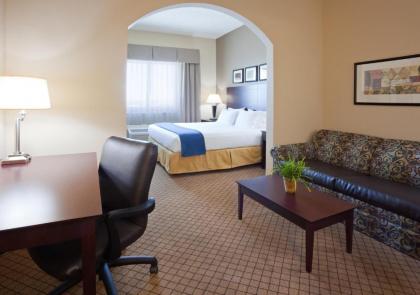 Holiday Inn Express Hotel & Suites Mankato East an IHG Hotel - image 17