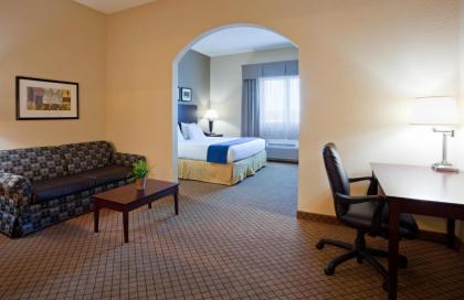 Holiday Inn Express Hotel & Suites Mankato East an IHG Hotel - image 18