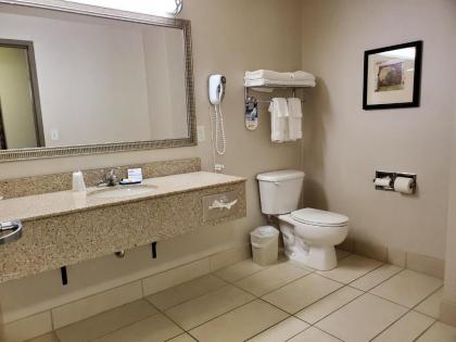 Holiday Inn Express Hotel & Suites Mankato East an IHG Hotel - image 7