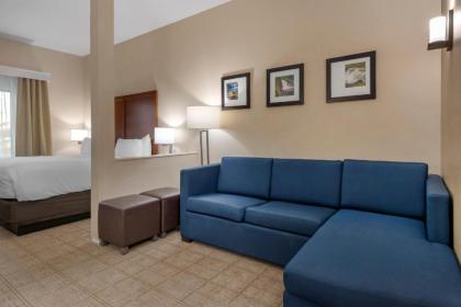 Comfort Inn & Suites - image 15