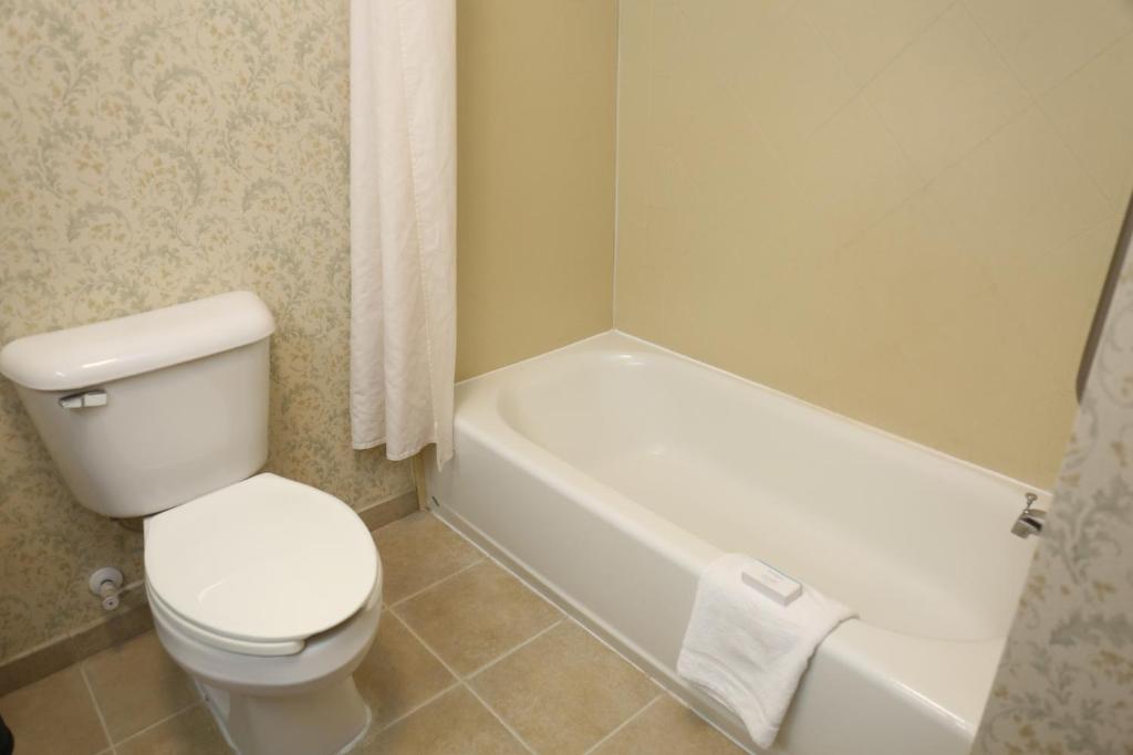 Hampton Inn Manning - image 7