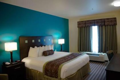 Best Western Plus Desoto Inn & Suites - image 9