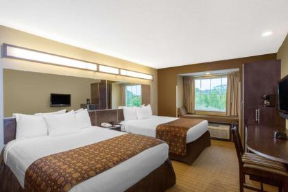 Microtel Inn & Suites Mansfield PA - image 14