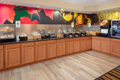 Fairfield Inn and Suites by Marriott Dallas Mansfield - image 9