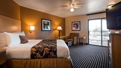 Best Western Plus Executive Inn & Suites - image 13