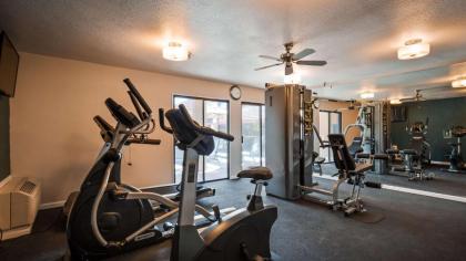 Best Western Plus Executive Inn & Suites - image 9