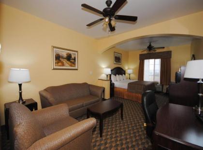 Best Western Plus Manvel Inn & Suites - image 11