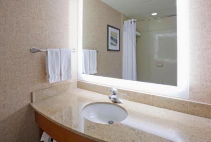 Holiday Inn Hotel & Suites Maple Grove Northwest Minneapolis-Arbor Lakes an IHG Hotel - image 12