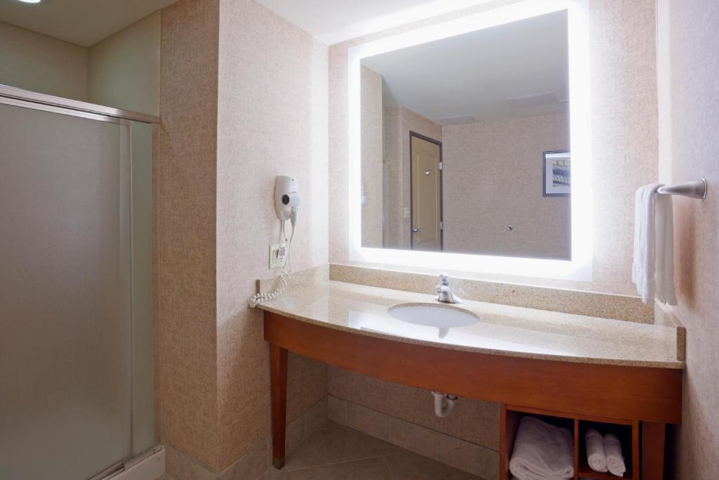 Holiday Inn Hotel & Suites Maple Grove Northwest Minneapolis-Arbor Lakes an IHG Hotel - image 4