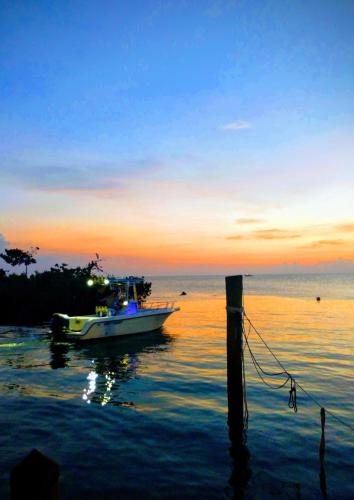 Conch Key Fishing Lodge & Marina - image 2