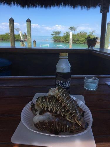 Conch Key Fishing Lodge & Marina - image 3