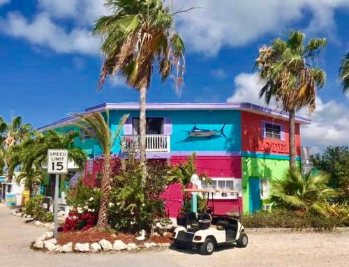 Conch Key Fishing Lodge & Marina - image 4