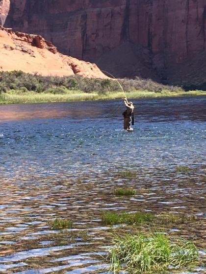 Lee's Ferry Lodge at Vermilion Cliffs - image 14