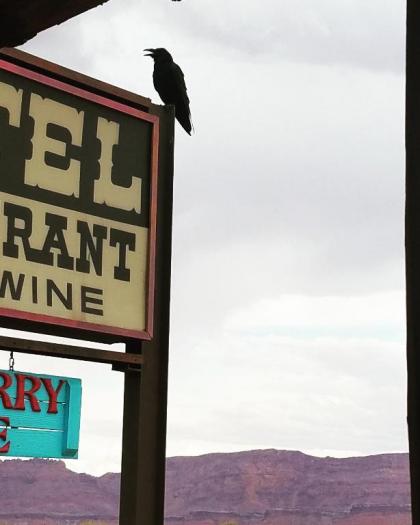 Lee's Ferry Lodge at Vermilion Cliffs - image 8