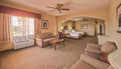 La Quinta by Wyndham Marble Falls - image 11