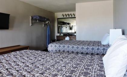 Riata Inn - Marfa - image 5