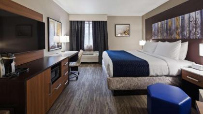 Best Western Atlanta-Marietta Ballpark Hotel - image 15