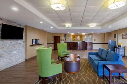 Comfort Inn Marion - image 10