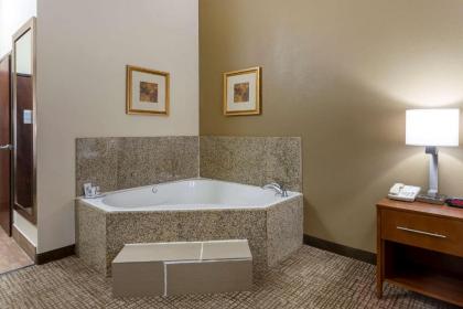 Comfort Inn Marion - image 11