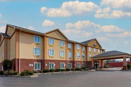 Comfort Inn Marion - image 2