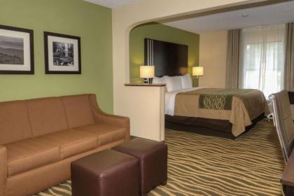 Comfort Inn Marion - image 15