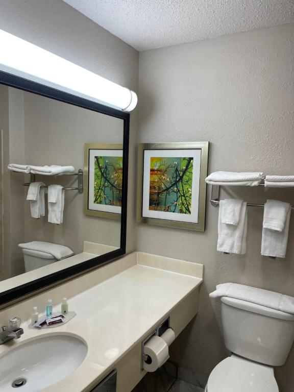 Quality Inn - image 7